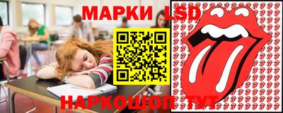 дмт Краснодар