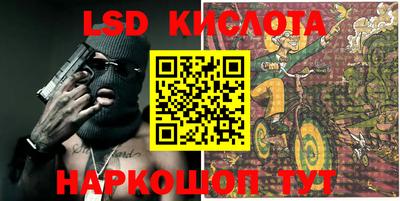 дмт Краснодар