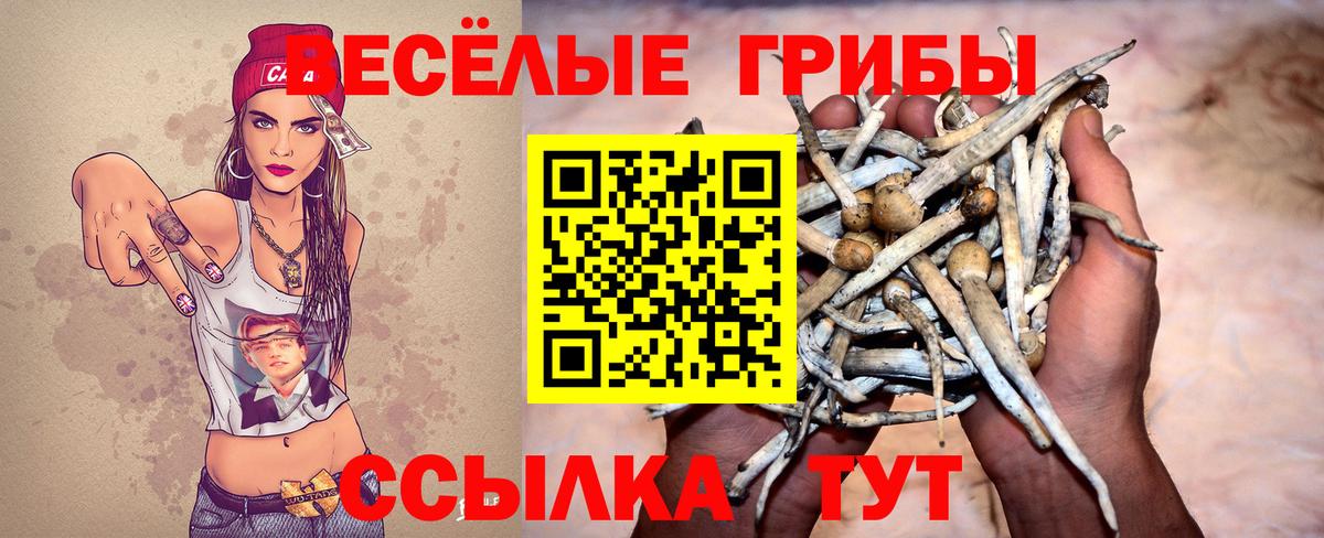 Псилоцибиновые грибы MAGIC MUSHROOMS Избербаш