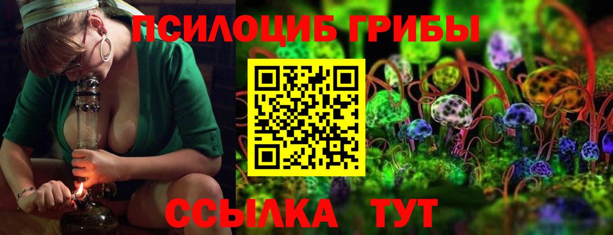 Избербаш  Галлюциногенные грибы мухоморы  Псилоцибиновые грибы MAGIC MUSHROOMS  Вход с VPN 